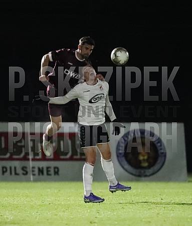 18.Spieltag BFC Dynamo - ZFC Meuselwitz,