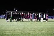 18.Spieltag BFC Dynamo - ZFC Meuselwitz,