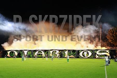 9.Spieltag BSG Chemie Leipzig - BFC Dynamo 9.Spieltag BSG Chemie Leipzig - BFC Dynamo