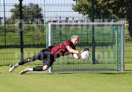 Training vom 08.09.2023 BFC Dynamo