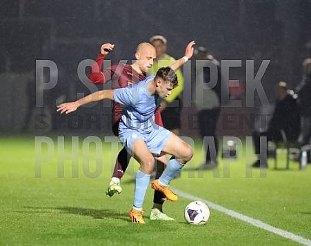 12.Spieltag BFC Dynamo - FC Viktoria 1889 Berlin