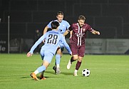 14.Spieltag BFC Dynamo - FC Viktoria 1889 Berlin