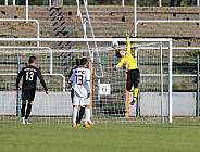 8.Spieltag BFC Dynamo U19 - FC Energie Cottbus U19 ,