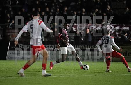 18.Spieltag BFC Dynamo - Hallescher FC