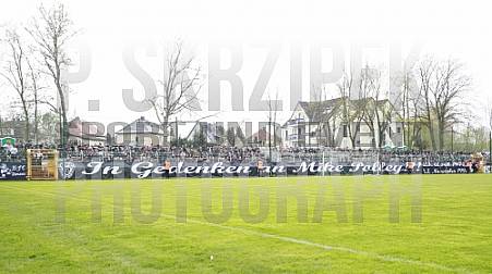 29.Spieltag BSG Chemie Leipzig - BFC Dynamo 29.Spieltag BSG Chemie Leipzig - BFC Dynamo