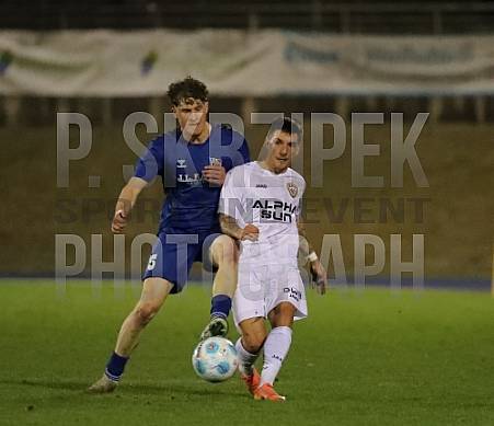 23.Spieltag FC Hertha 03 Zehlendorf - BFC Dynamo
