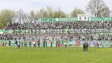 29.Spieltag BSG Chemie Leipzig - BFC Dynamo