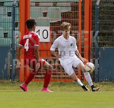 BFC Dynamo U19 - Berliner AK U19 BFC Dynamo U19 - Berliner AK U19