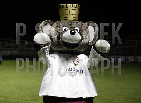 23.Spieltag BFC Dynamo - Greifswalder FC