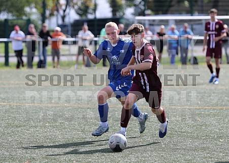 2.Spieltag BFC Dynamo U17 - 1.FC Magdeburg U16 2.Spieltag BFC Dynamo U17 - 1.FC Magdeburg U16