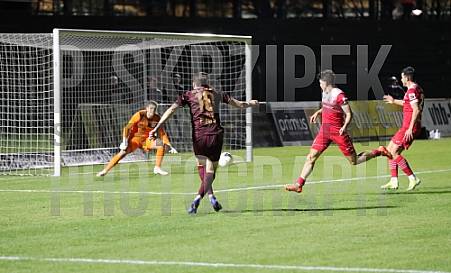 23.Spieltag BFC Dynamo - Greifswalder FC