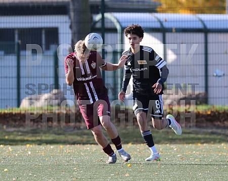 8.Spieltag BFC Dynamo U17 - 1.FC Union U16