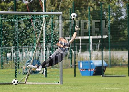 Training vom 15.08.2024 BFC Dynamo