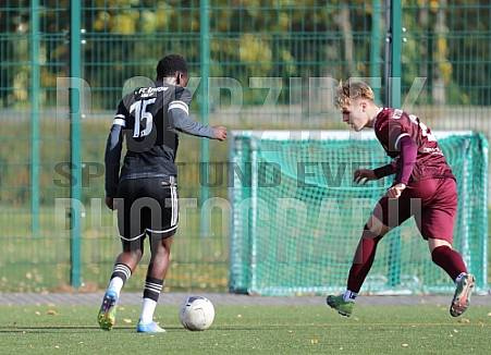 8.Spieltag BFC Dynamo U17 - 1.FC Union U16