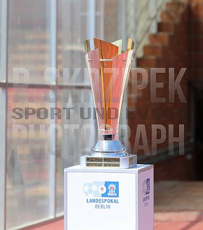 Pokalfinale VSG Altglienicke - BFC Dynamo,