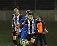 25.Spieltag SV Tasmania - BFC Dynamo,