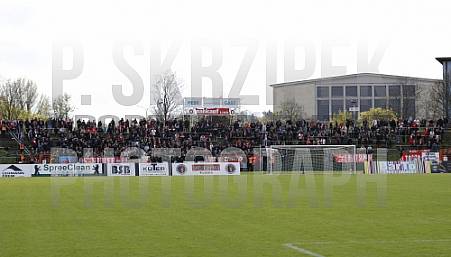 29.Spieltag BFC Dynamo - FC Rot-Weiß Erfurt