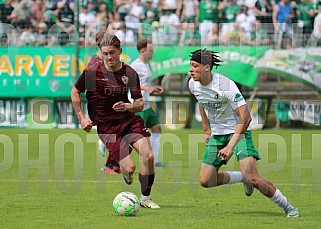 33.Spieltag BSG Chemie Leipzig - BFC Dynamo