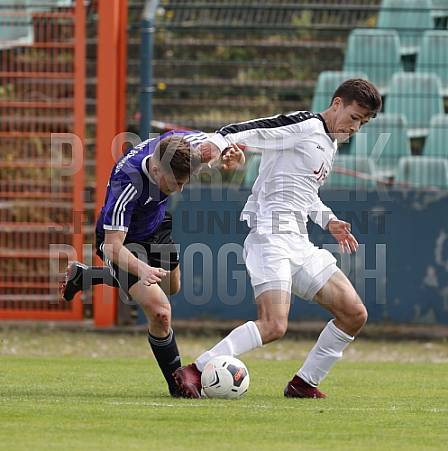 22.Spieltag BFC Dynamo U19 - Tennis Borussia U19 , 22.Spieltag BFC Dynamo U19 - Tennis Borussia U19 ,