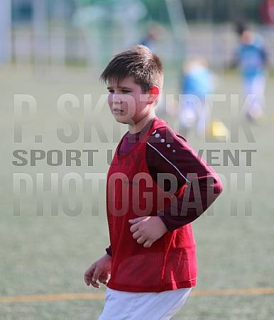 BFC Dynamo FerienCamp April 2022