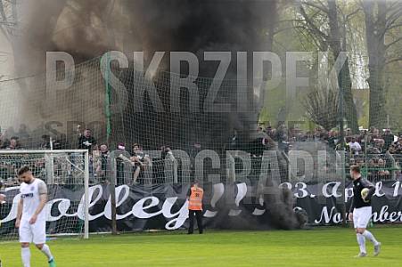 29.Spieltag BSG Chemie Leipzig - BFC Dynamo