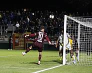 10.Spieltag BFC Dynamo - SV Babelsberg 03