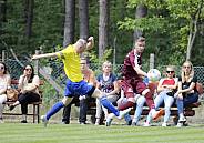 Testspiel HSV Fortuna Friedersdorf Gussow - BFC Dynamo