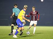 15.Spieltag FC Carl-Zeiss Jena - BFC Dynamo