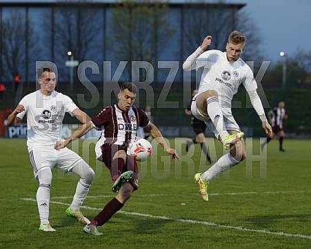 35.Spieltag BFC Dynamo - Tennis Borussia Berlin,