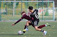 8.Spieltag BFC Dynamo U17 - 1.FC Union U16