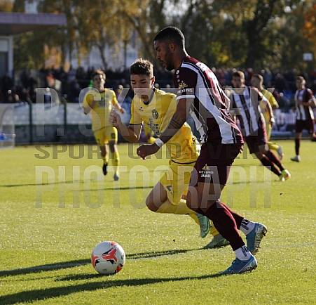 15.Spieltag BFC Dynamo - VfB Auerbach,