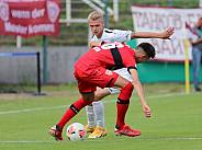 1.Runde DFB-Pokal BFC Dynamo - VfB Stuttgart