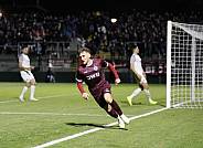 10.Spieltag BFC Dynamo - SV Babelsberg 03