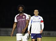 24.Spieltag BFC Dynamo - Hertha BSC II