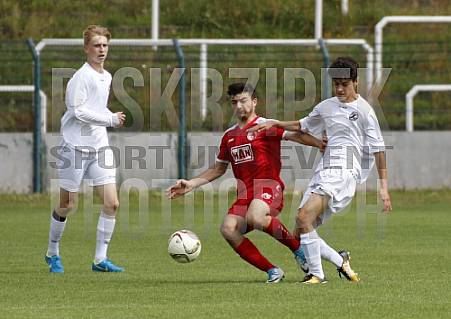 BFC Dynamo U19 - Berliner AK U19 BFC Dynamo U19 - Berliner AK U19