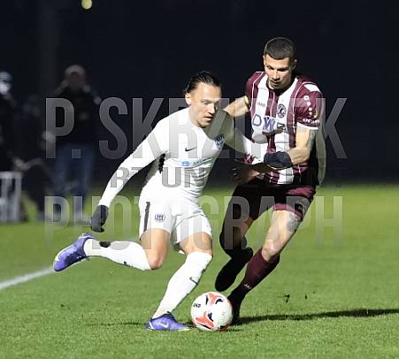 26.Spieltag BFC Dynamo - SV Babelsberg 03,