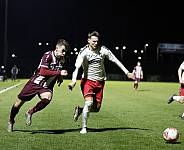 24.Spieltag BFC Dynamo - ZFC Meuselwitz,