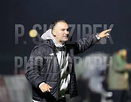 12.Spieltag BFC Dynamo - FC Viktoria 1889 Berlin