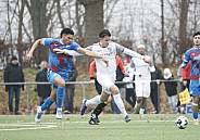 Testspiel SV Tasmania Berlin - BFC Dynamo