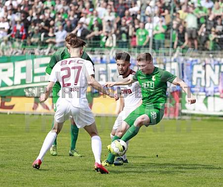 29.Spieltag BSG Chemie Leipzig - BFC Dynamo