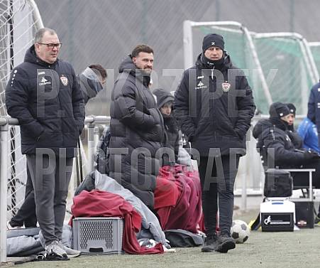 Testspiel BFC Dynamo - VfB 1921 Krischow, Testspiel BFC Dynamo - VfB 1921 Krischow,