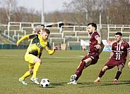 26.Spieltag BFC Dynamo - VFC Plauen