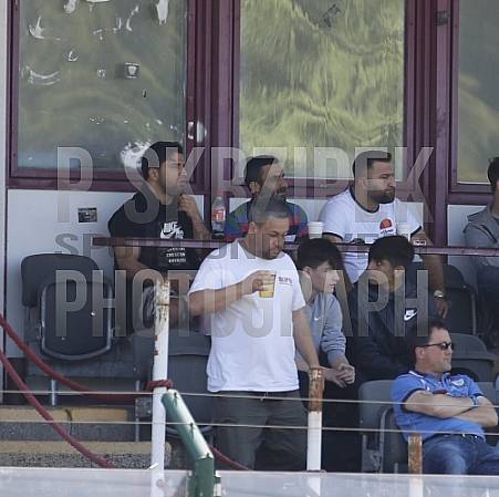 24.Spieltag BFC Dynamo U19 - Hallescher FC U19,