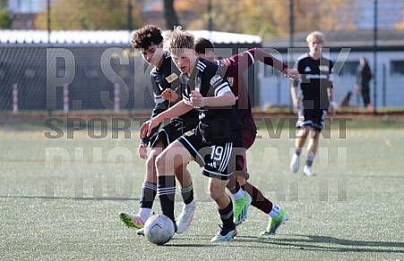 8.Spieltag BFC Dynamo U17 - 1.FC Union U16