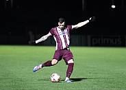 24.Spieltag BFC Dynamo - ZFC Meuselwitz,