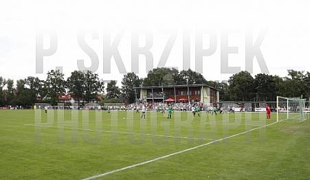 1.Testspiel SV 1908 Grün-Weiß Ahrensfelde - BFC Dynamo