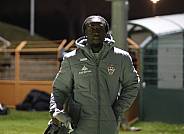 18.Spieltag BFC Dynamo - Hallescher FC