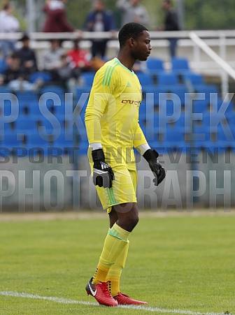 22.Spieltag BFC Dynamo U19 - Tennis Borussia U19 ,