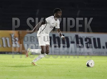 7.Spieltag BFC Dynamo - SV Babelsberg 03, 7.Spieltag BFC Dynamo - SV Babelsberg 03,