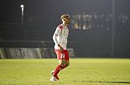 18.Spieltag BFC Dynamo - Hallescher FC